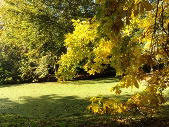 l'Arboretum de Balaine