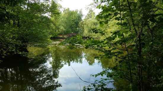 Etangs de Fouchy