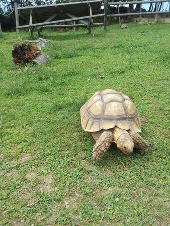 la Ferme des Reptiles