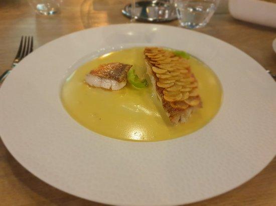 Black Bass
