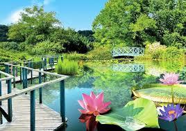 Les Jardins d'eau de Carsac