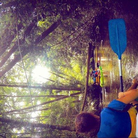 Canoe Land